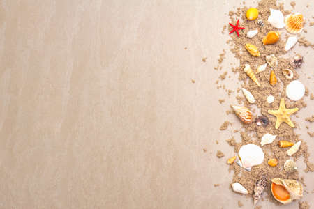 Seashells sandy summer background. Lots of different seashells piled together, copy space, frame, top viewの写真素材