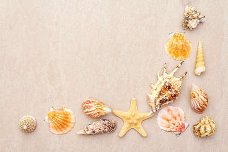 Seashells summer background. Lots of different seashells piled together, top view, copy space, frame