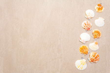 Seashells summer background. Lots of different seashells piled together, top view, copy space, frame