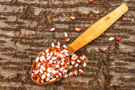 Painted pony cranberry beans in wooden spoon on wooden bark, close up