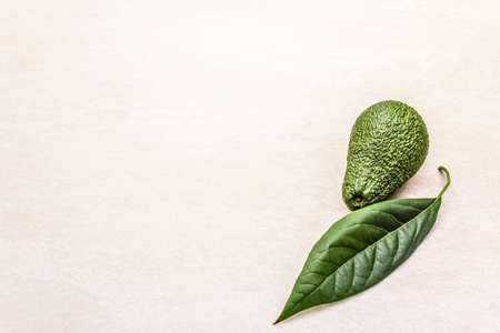 Avocado and avocado leaf. Cooking background. On the stone surface.の写真素材