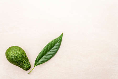 Avocado and avocado leaf. Cooking background. On the stone surface, top view.