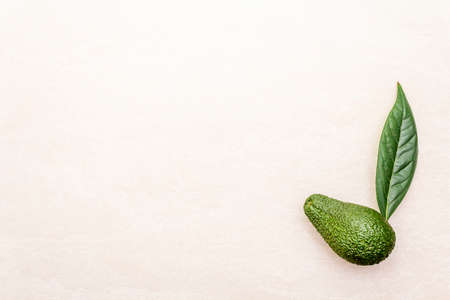 Avocado and avocado leaf. Cooking background. On the stone surface, top view.の写真素材