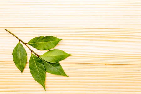 Fresh bay leaves on wooden background, top view, copy space, flat lay.