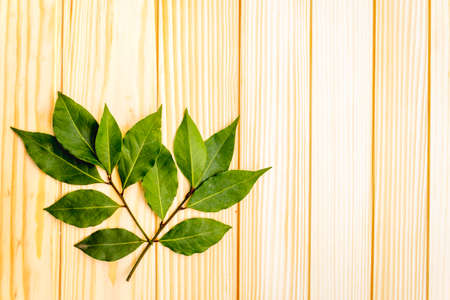 Fresh bay leaves on wooden background, top view, copy space, flat lay.の写真素材