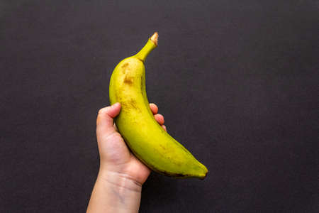 One ripe yellow-green banana in children's hand. Black background, top view, close up.の写真素材