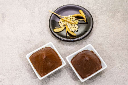 Miso paste, traditional Japanese seasoning. Two types, dark and light brown with dry soya beans. Stone concrete background, copy space, top viewの写真素材