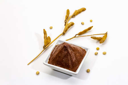 Light brown miso paste isolated on white background. Traditional Japanese seasoning, dry soya beans pods, copy spaceの写真素材
