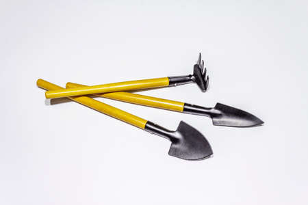 Garden tools isolated on white background. Plant care concept. Shovels and rakeの写真素材