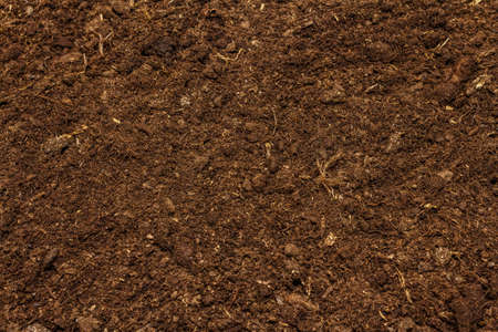 Soil texture background for gardening concept. Cultivated ground, environmental surfaceの写真素材