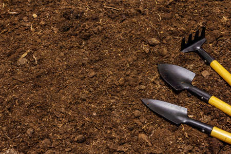 Garden tools on soil background. Plant care concept. Shovels and rakeの写真素材