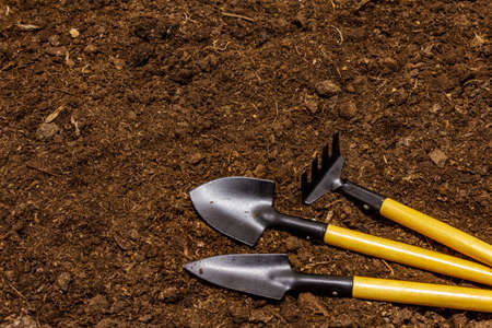 Garden tools on soil background. Plant care concept. Shovels and rakeの写真素材