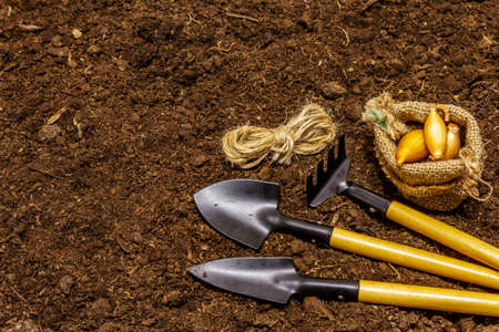 Garden tools on soil background. Plant care concept. Shovels and rake, thread, onionの写真素材