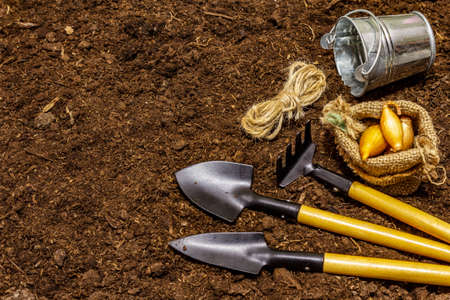 Garden tools on soil background. Plant care concept. Shovels and rake, bucket, thread, onionの写真素材