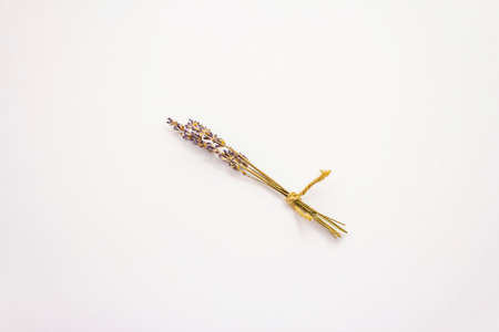 Lavender dry flower isolated on white background. A bunch tied with twineの写真素材