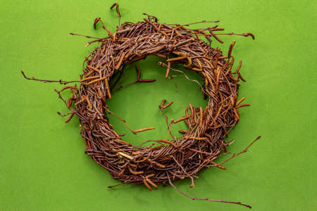 Wicker wreath of birch branches. Easter zero waste, DIY concept. Design element and decor. Green background, close up, top viewの写真素材