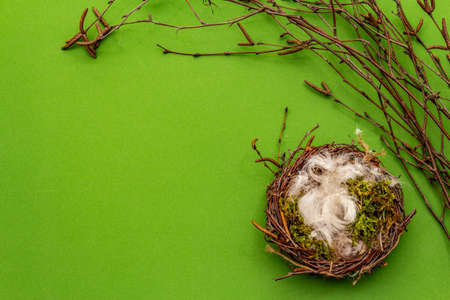 Easter zero waste decor, DIY concept. Design element and decor. Bird nest, moss, birch branches,...
