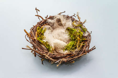 Easter bird nest. Zero waste, DIY concept. Soft feathers, moss. Light blue background, close upの写真素材