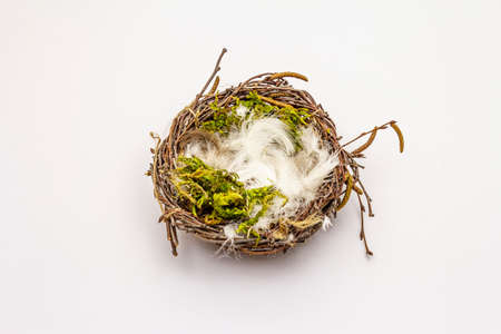 Easter bird nest isolated on white background. Zero waste, DIY concept. Soft feathers, mossの写真素材