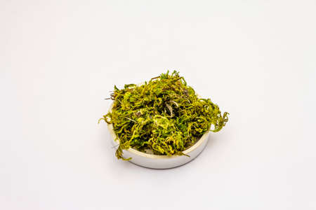Green moss isolated on white background. Decorative element, in ceramic plate