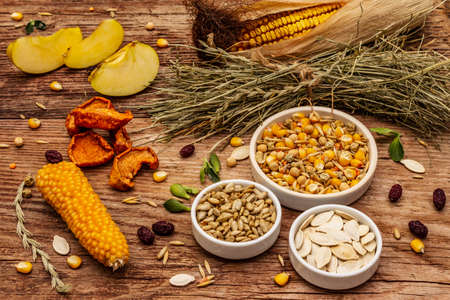Balanced diet for domestic rodents. Assorted mix of grain and seeds, dry herbs, fresh fruits. Old...