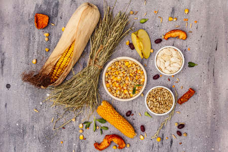 Balanced diet for domestic rodents. Assorted mix of grain and seeds, dry herbs, fresh fruits. Grey...