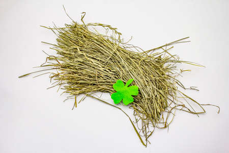 Bunch of hay isolated on white background, felt clover leaf. Dry herbs, food for domestic animals