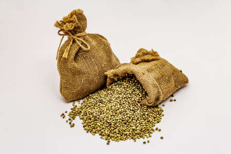 Ripe hemp seeds in bag isolated on white background. Trend food, medicine and beauty ingredient,...