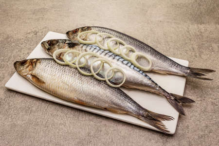 Pickled whole mackerel and herring. Traditional seafood delicacy, healthy eating concept. Stone concrete background, close upの写真素材