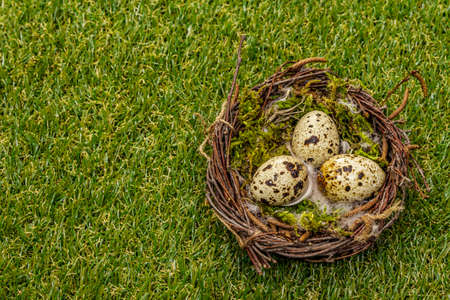 Happy Easter background. Quail eggs in a bird's nest on fresh sunny green grass. Springtime concept,...