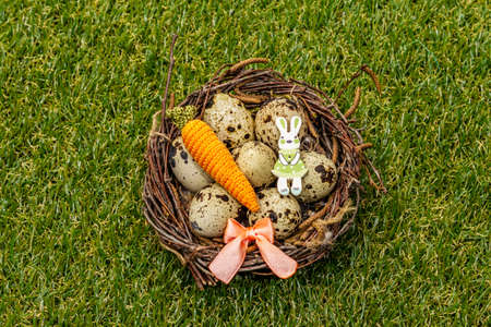 Happy Easter background. Quail eggs in a bird's nest on fresh sunny green grass. Springtime concept