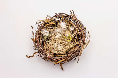 Easter bird nest isolated on white background. Zero waste, DIY concept. Soft feathers, birch branchesの写真素材