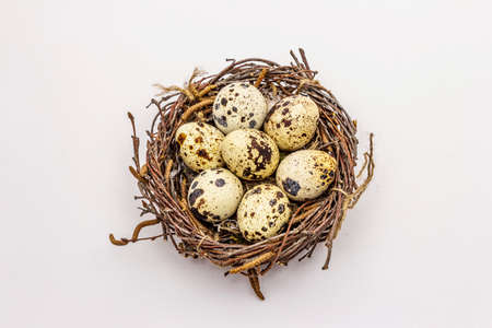 Easter bird nest with quail eggs isolated on white background. Zero waste, DIY concept. Soft feathers, birch branchesの写真素材