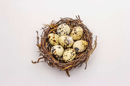 Easter bird nest with quail eggs isolated on white background. Zero waste, DIY concept. Soft feathers, birch branchesの写真素材