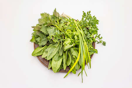 Fresh greens set isolated on white background. Nettle, sorrel, parsley, garlic. Traditional ingredients for spring soupの写真素材