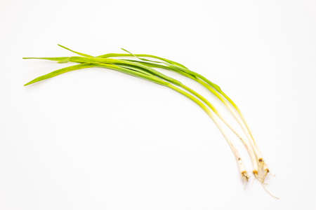 Fresh garlic greens isolated on white background. Traditional ingredient for cooking foodの写真素材