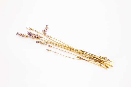 Dry lavender isolated on white background. Aromatic flowers, traditional ingredient for food and cosmeticsの写真素材
