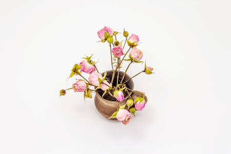 Dry roses flowers isolated on white background. Aromatic flowers, traditional ingredient for food and cosmeticsの写真素材