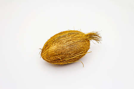 Fresh ripe coconut isolated on white background. Whole fruit, ingredient for healthy and beauty lifeの写真素材