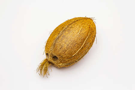 Fresh ripe coconut isolated on white background. Whole fruit, ingredient for healthy and beauty lifeの写真素材