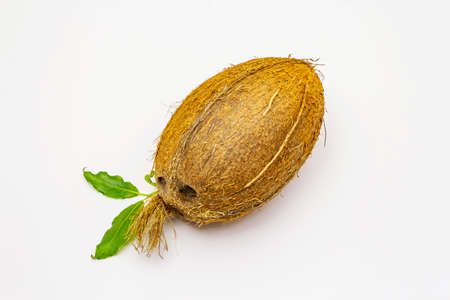 Fresh ripe coconut isolated on white background. Whole fruit, ingredient for healthy and beauty lifeの写真素材