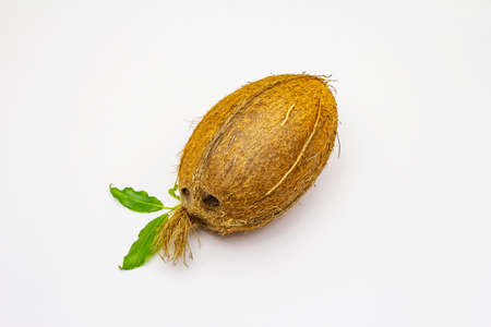 Fresh ripe coconut isolated on white background. Whole fruit, ingredient for healthy and beauty lifeの写真素材