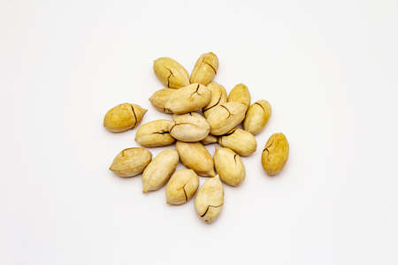 Ripe pecan isolated on white background. Traditional ingredient for pecan pie in USAの写真素材