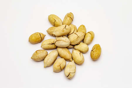 Ripe pecan isolated on white background. Traditional ingredient for pecan pie in USAの写真素材