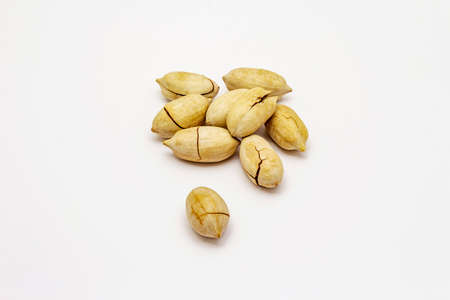 Ripe pecan isolated on white background. Traditional ingredient for pecan pie in USAの写真素材