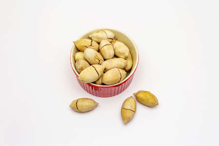 Ripe pecan isolated on white background. Traditional ingredient for pecan pie in USAの写真素材