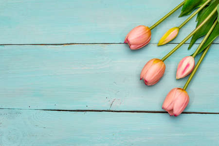 Greetings card, wallpaper, backdrop. Happy Mothers Day, Easter, St.Valentines or Wedding. Gentle pink tulips on turquoise wooden boards backgroundの写真素材