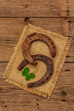 Two very old cast iron metal horse horseshoes, fresh clover leaf. Good luck symbol, St.Patrick's Day concept. Antique wooden background, horse accessoriesの写真素材