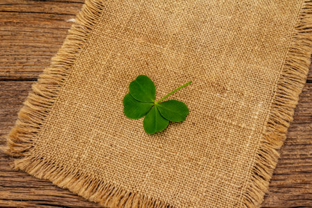 Four-leaf clover, fresh plant on sackcloth. Good luck symbol, St.Patrick's Day concept. Old wooden...
