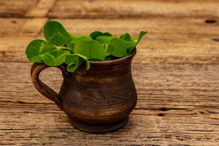 Fresh clover bouquet in ceramic cup. Good luck symbol, St.Patrick's Day concept. Old wooden boards backgroundの写真素材